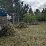 Hier hieß es im neuen Jahr Falkenberg /Elster ran an die Gartenarbeit