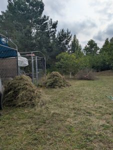 Hier hieß es im neuen Jahr Falkenberg /Elster ran an die Gartenarbeit